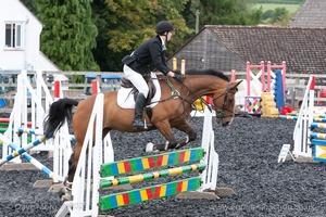 Class 6 - Fences not above 2'9